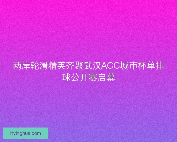 两岸轮滑精英齐聚武汉ACC城市杯单排球公开赛启幕
