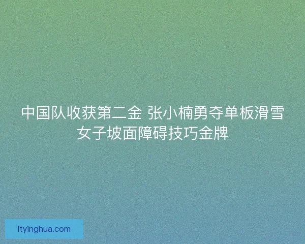 中国队收获第二金 张小楠勇夺单板滑雪女子坡面障碍技巧金牌