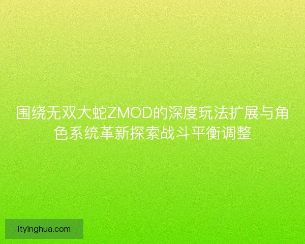 围绕无双大蛇ZMOD的深度玩法扩展与角色系统革新探索战斗平衡调整